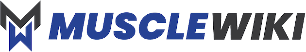 MuscleWiki